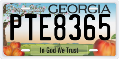 GA license plate PTE8365