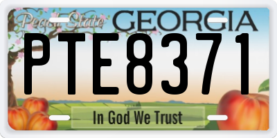 GA license plate PTE8371