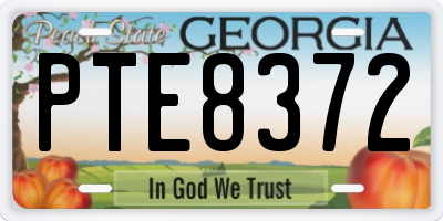 GA license plate PTE8372