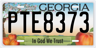 GA license plate PTE8373