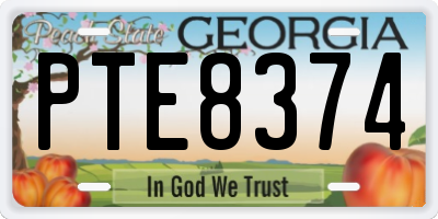 GA license plate PTE8374