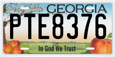 GA license plate PTE8376