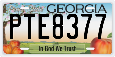 GA license plate PTE8377