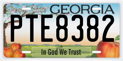 GA license plate PTE8382