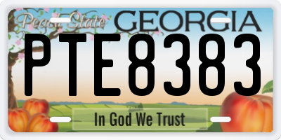 GA license plate PTE8383