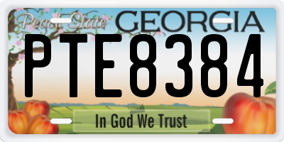 GA license plate PTE8384
