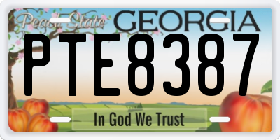 GA license plate PTE8387