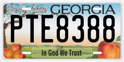 GA license plate PTE8388