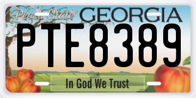GA license plate PTE8389