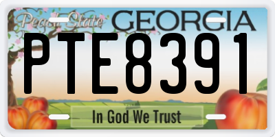 GA license plate PTE8391