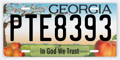 GA license plate PTE8393