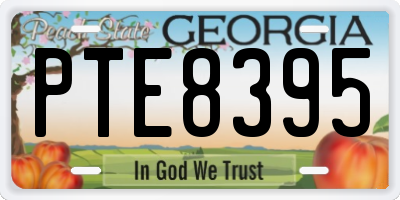 GA license plate PTE8395