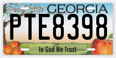 GA license plate PTE8398