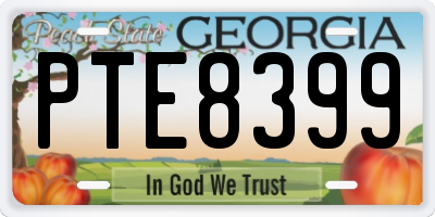 GA license plate PTE8399