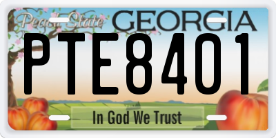 GA license plate PTE8401