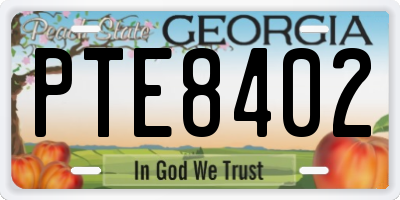GA license plate PTE8402