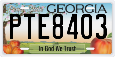 GA license plate PTE8403