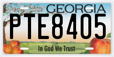 GA license plate PTE8405