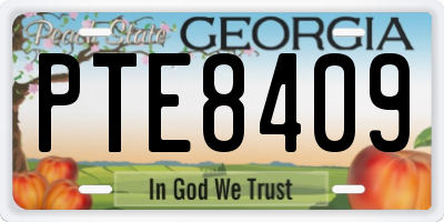 GA license plate PTE8409