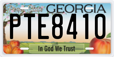 GA license plate PTE8410