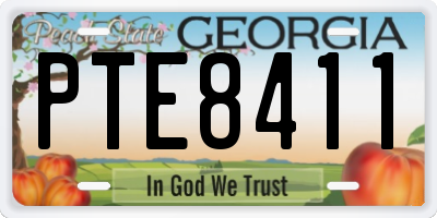 GA license plate PTE8411