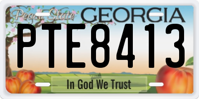 GA license plate PTE8413