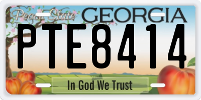 GA license plate PTE8414