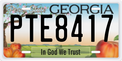 GA license plate PTE8417