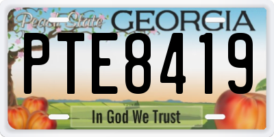 GA license plate PTE8419