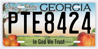GA license plate PTE8424