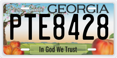 GA license plate PTE8428