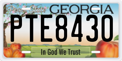 GA license plate PTE8430
