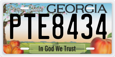 GA license plate PTE8434
