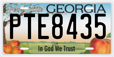 GA license plate PTE8435