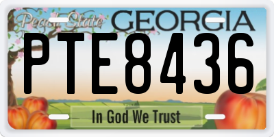 GA license plate PTE8436
