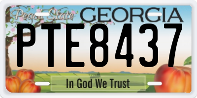 GA license plate PTE8437