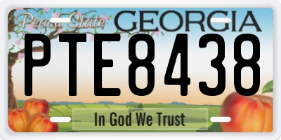 GA license plate PTE8438