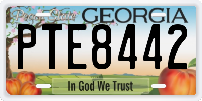 GA license plate PTE8442