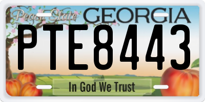 GA license plate PTE8443