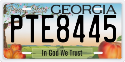 GA license plate PTE8445
