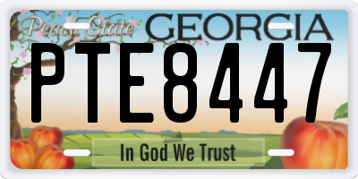 GA license plate PTE8447