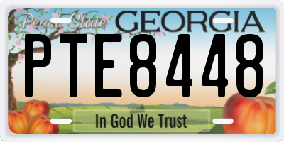 GA license plate PTE8448
