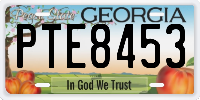 GA license plate PTE8453