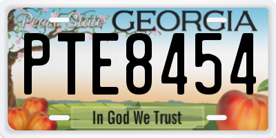 GA license plate PTE8454