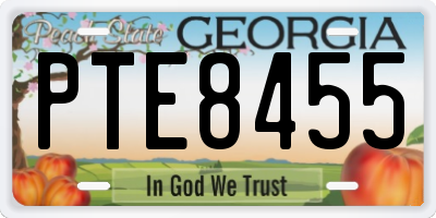 GA license plate PTE8455