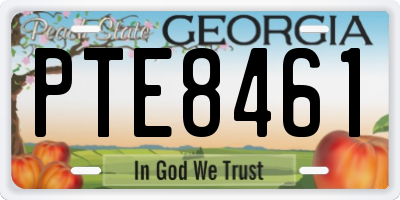 GA license plate PTE8461