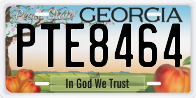 GA license plate PTE8464