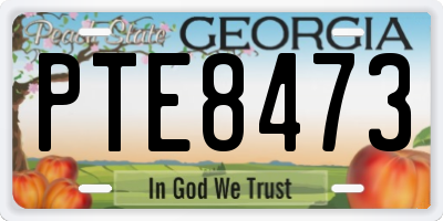 GA license plate PTE8473