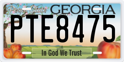 GA license plate PTE8475