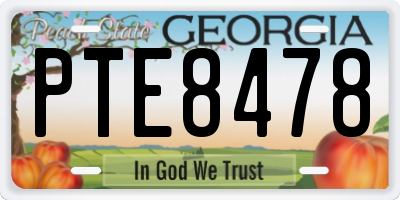 GA license plate PTE8478